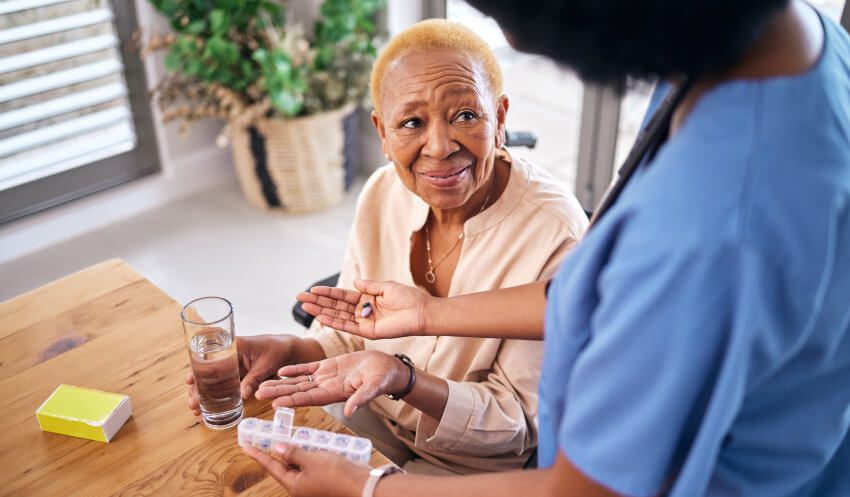 Domestic Support -  Companionship